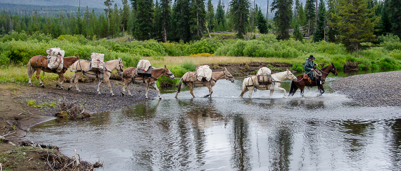 Wilderness Trails Outfitters - Yellowstone Horse Pack Trips